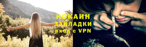 индика Балабаново