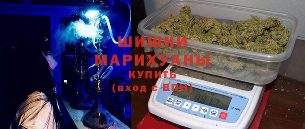 индика Балабаново