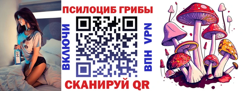 Псилоцибиновые грибы Psilocybine cubensis  Новоржев 